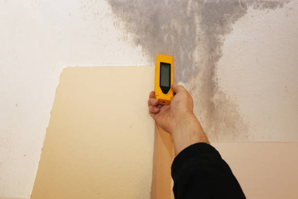 Best Indoor Air Quality Assessment  in Springdale, NC