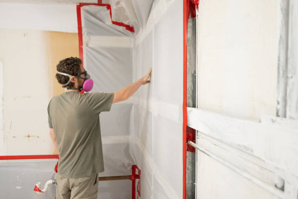 Mold Remediation for Vacation Homes in Springdale, NC