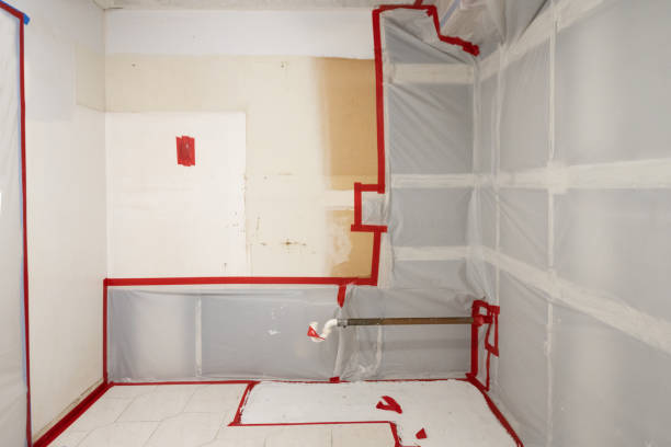 Reliable Springdale, NC Mold Removal Solutions