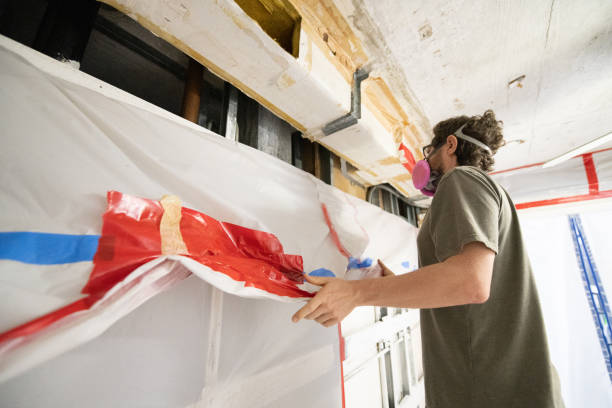 Best Water Damage & Mold Remediation  in Springdale, NC