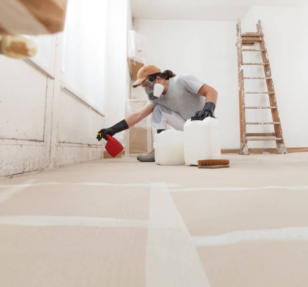 Best Comprehensive Air Testing for Mold Contaminants  in Springdale, NC