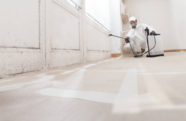 Best Biohazard Mold Removal  in Springdale, NC